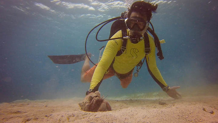 stthomas8.jpg